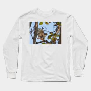 Red Tailed Hawk alighting in tree Long Sleeve T-Shirt